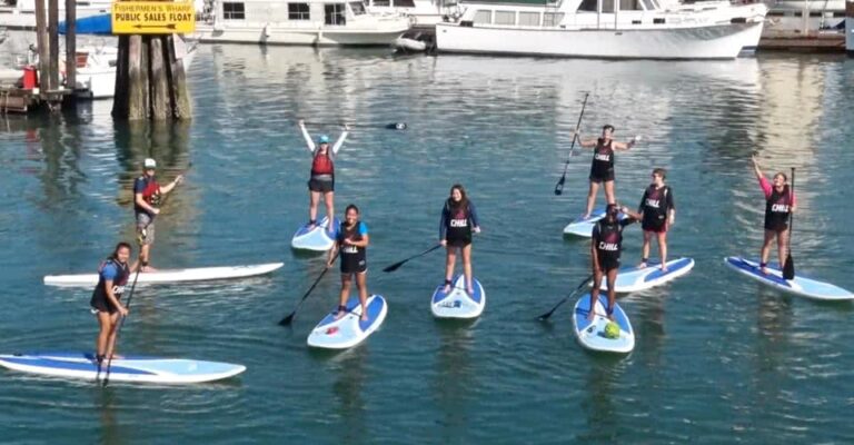 Chill Participants Riding Standup Paddle Boards