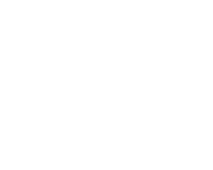 Snobahn - W Logo