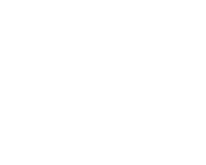Substance Skatepark - W Logo